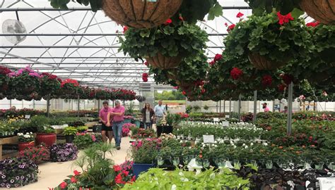 Gibbs garden center cullman - 5847 County Road 616 Hanceville, AL 35077 Phone: (256) 796-8192 Email: gibbsgardencenter@yahoo.com Hours: Monday - Saturday 7:30 am - 5:00 pm Gibbs Garden Center is your go-to landscaping & garden center for homes in Holly Pond, Cullman, AL, & surrounding areas. Click to see what we can do for you!
